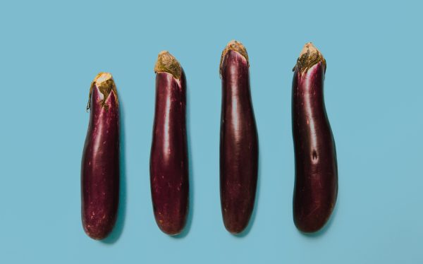 Fresh Garden Eggplant Recipes